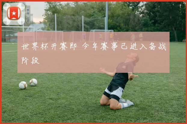 世界杯开赛即 今年赛事已进入备战阶段