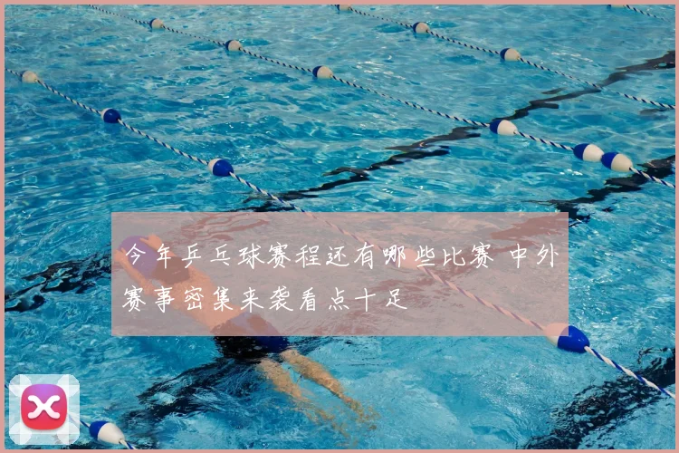 今年乒乓球赛程还有哪些比赛 中外赛事密集来袭看点十足
