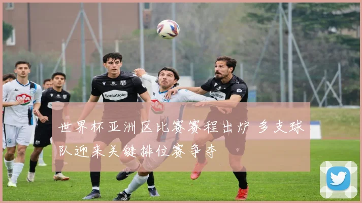 世界杯亚洲区比赛赛程出炉 多支球队迎来关键排位赛争夺