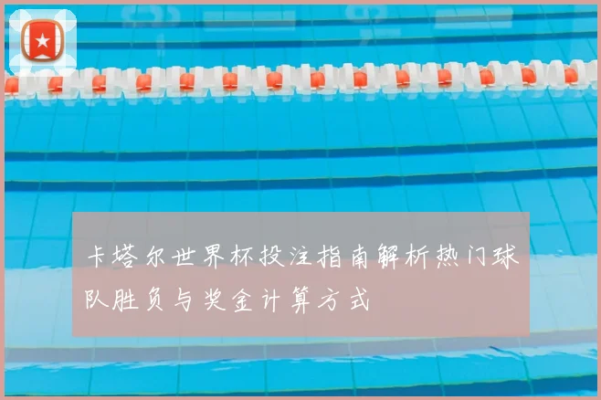 卡塔尔世界杯投注指南解析热门球队胜负与奖金计算方式