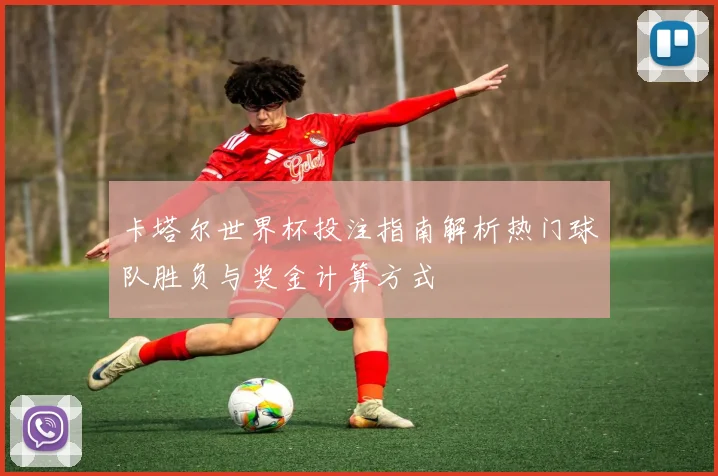 卡塔尔世界杯投注指南解析热门球队胜负与奖金计算方式